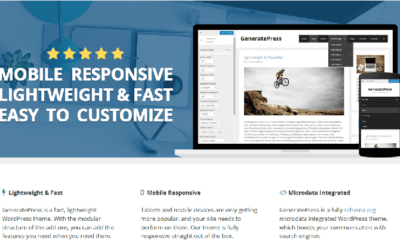 How to Choose a Great WordPress Theme